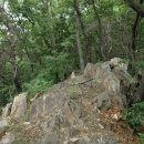 안용주골 이미지