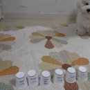 무한뽑기 이미지