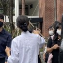 몽랑 이미지