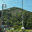 홍시먹으러곶감 이미지