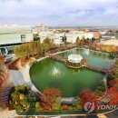 원광대학교 이미지