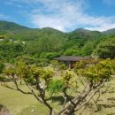 감꽃요양병원 이미지