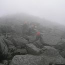 육하원칙 이미지