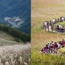 남당리 - 우 이미지