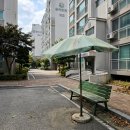 팔각공원 | 팔각파라솔 칠핑장에서 하루종일 써본 솔직 후기