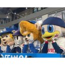 틴드미랑 | 5월 돌아보기