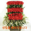 화요일 - 대덕구 | 화요일