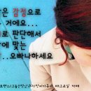 손길만스쳐도
