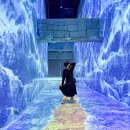 제주월드컵경기장 서귀포시실내암장 | 제주 서귀포 실내 가볼만한곳 워터월드 제주 할인