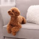 율동물의료센터 이미지