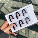 홍대/연남 컬러 증명사진 리그라피[regraphy] 후기