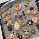 창고구공 이미지