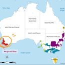 Flametree_ | 위클리와인 도착 그리고 떼루아와인아울렛 와인구입 후기!