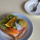 하룻강아지 | 내 일상인지 설탕 일상인지•••?