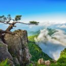 계백축산