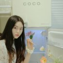 스냅렌탈 네이버블로그