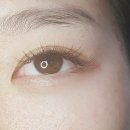 다온뷰티 이미지