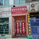 데코마리 | 인천 빌라드마리 웨딩홀 후기｜2027 하반기 견적부터 홀투어까지 솔직 리뷰