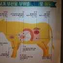 명가곱창 네이버블로그