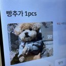 솔 피시 | 안암 맛집 파슬리파슬리ㅣ특별한 보리, 정식이 있는 고대 파스타·리조또 맛집