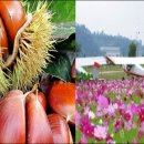 우리 詩 우리 樂 이미지