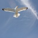 진평경로당 이미지