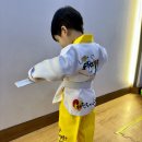 타이탄 히어로즈 태권도 이미지