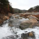 울산종합관광안내소 Daum카페