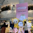 NC백화점 이미지