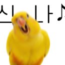 화경유도관 이미지