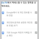 다핏