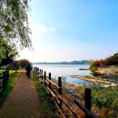 서호공원 이미지