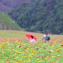 산소카폐 청송정원 (2) 네이버블로그