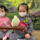 수곡어린이집 이미지