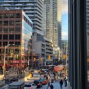 토론토 캣 이미지