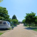 자라섬캠핑장2(A사이트) 이미지