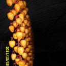 일출농장 이미지