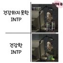 인팁