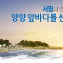 오션스테이 이미지
