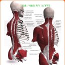 건강생활 - 디스크,허리디스크,골반통증,턱관절장애. 편두통,목디스크,근육통,족저근막염. 이미지