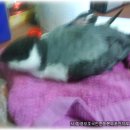 운천카센타 이미지