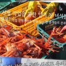 홍게킹 이미지