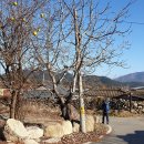 치산2리경로당 이미지