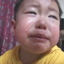 김현태김동민 동물의료센터 | 강아지 허리디스크 증상, 진단 | 허리디스크 관리 | 김현태 김동민 동물병원