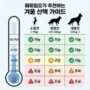 멈무들 이미지