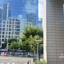온기한의원 | 강남역 한의원에서 얼굴 편평사마귀 상담 및 진료 솔직 후기