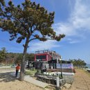 소나무집 이미지