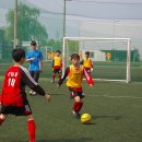 지성 태권도장 이미지