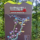 인현중앙길 Daum카페