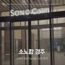pet25고7651 | 소노캄 경주 펫동반 객실 이용후기 | 25년 10월 리뉴얼오픈